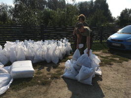 ROK SZKOLNY 2024/2025